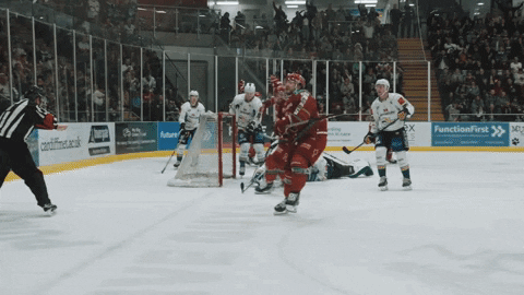 Ice Hockey GIF by Cardiff Devils