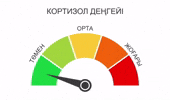 Қазақша Мемдер GIF