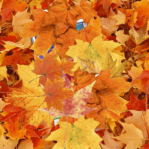 fall smartphone GIF by Boost Mobile