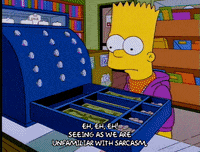 bart simpson jeffrey albertson GIF