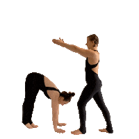Duo Handstand Sticker by ShellyFLEX