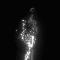 Black And White Loop GIF by xponentialdesign