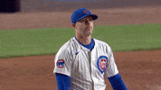 Chicago Cubs Baseball GIF by TheDreamTeam 