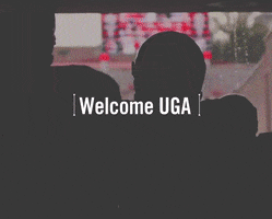 welcome back uga GIF by University of Georgia