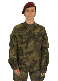 armadaceskerepubliky wow army boring czech Sticker