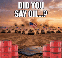Usa America GIF