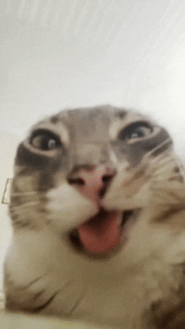 Ibuprofen GIF