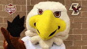 College Sports Hello GIF by College Colors Day