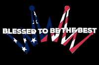 Horse Saddle GIF by Best Ever Pads