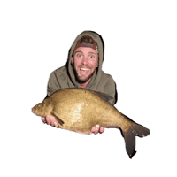 Catchoftheday Brasse Sticker by FISHSTONE