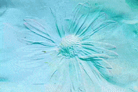 Stop Motion Animation GIF by brittany bartley