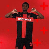 Bayer 04 No GIF by Bayer 04 Leverkusen