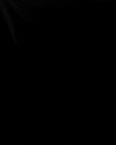 Teamnlshorttrack GIF by Shapevisions