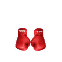 Fight Roast Sticker by Betclic Portugal