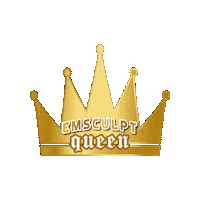 Bodybybtl hbd emsculpt btlbustour emlife Sticker