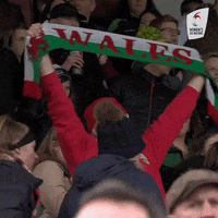 Womens6Nations fan fans womens six nations GIF