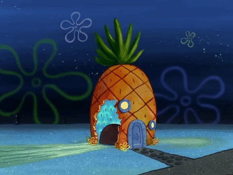 season 5 the original fry cook GIF by SpongeBob SquarePants