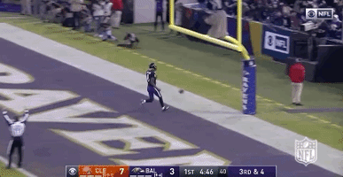 2018 Nfl Football GIF by NFL