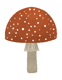 magic forest Sticker by Alexandra Dvornikova