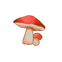 EssieBear red forest mushroom magical Sticker