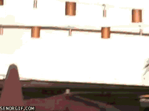 drunk bikini GIF by Cheezburger