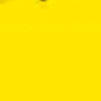 Dance Eyes GIF by Bubbles Jackson