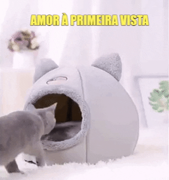 tuahpet giphygifmaker toca para gatos toca confort cama para gatos GIF