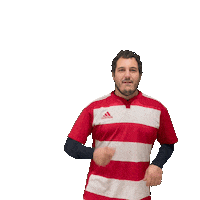 Try Meta Sticker by RIMINI RUGBY