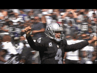 Oakland Raiders Nfl GIF by Las Vegas Raiders