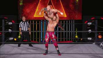 Aew Dynamite GIF by ALL ELITE WRESTLING