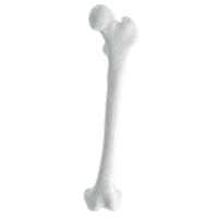 bones Sticker by Kampnagel - Internationales Zentrum für schönere Künste