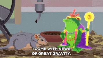 frog talking GIF by South Park 