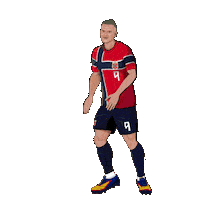 World Cup Football Sticker by Panini America