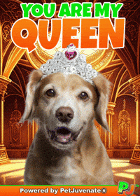 PetJuvenate petjuvenate henlo hooman fren love rescue dogs treatos and woofer for pupper GIF