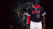 GIF by Columbus State University Athletics