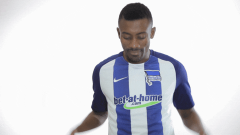 party goal GIF by Hertha BSC