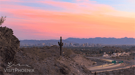 VisitPhoenix giphyupload sunset cactus desert GIF