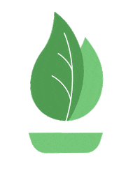 Leaf Salad Sticker by Flame Broiler