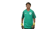 Football Soccer Sticker by Gulf United FC