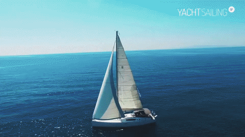 yachtsailing giphyupload GIF