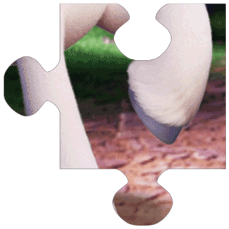 Puzzle Sticker by My Little Pony