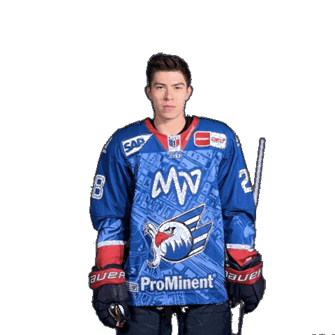 Alexander Ehl Sticker by Adler Mannheim