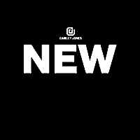 CarleyJones instagram business influencer jones GIF