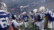 Indianapolis Colts Football GIF by NFL