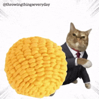 Corn Cornball GIF