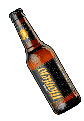 Montejo giphyupload beer drinking cerveza Sticker