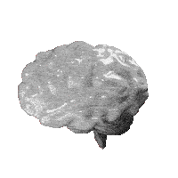 medienanstalt-nrw fake fake news denken manipulation Sticker