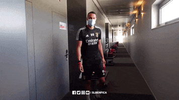 Sl Benfica Thumbs Up GIF by Sport Lisboa e Benfica