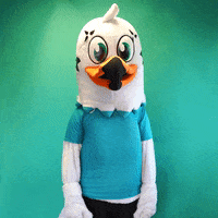 Ciao Velo GIF by B&B HOTELS - KTM