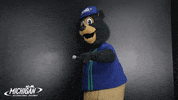 MISpeedway nascar mic drop mic drop GIF